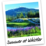 summerwhistler
