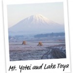 toya1