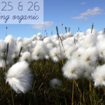 week 25 & 26 dcg