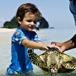 Mr & Mrs Smith_Vomo Island Resort_Fiji_Turtles