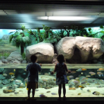 shanghai aquarium_01-793334