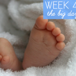 week 40 dcg