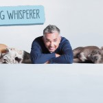 cesar millan dcg