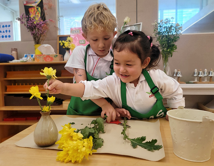 discovery montessori school hong kong montessori education ib pyp primary education hk