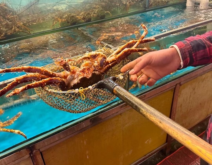 Wholesale market zhuhai