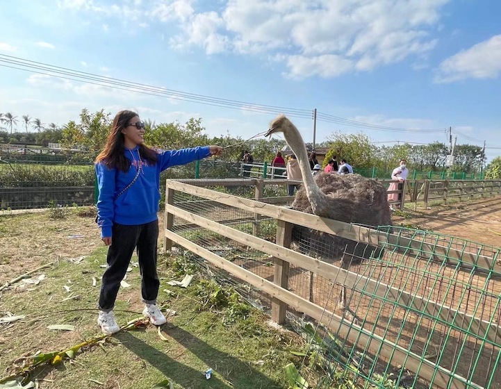 Zhuhai Farms