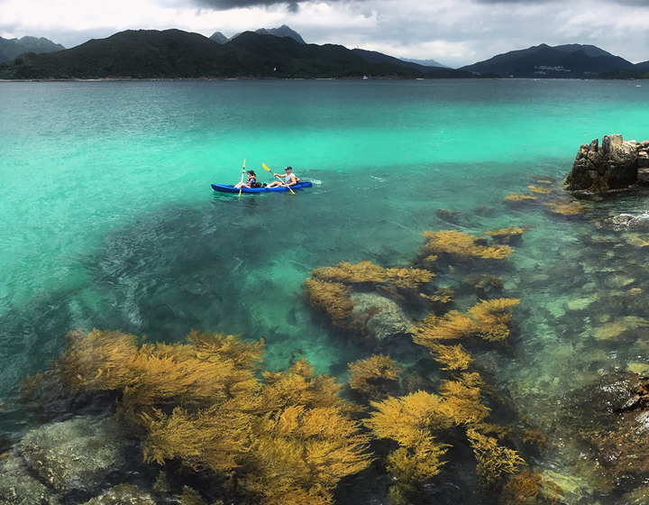 water sports hong kong water activities for kids watersports hk kayaking canoeing wild hong kong classes