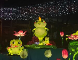 Mid-Autumn Festival Lanterns Hong Kong