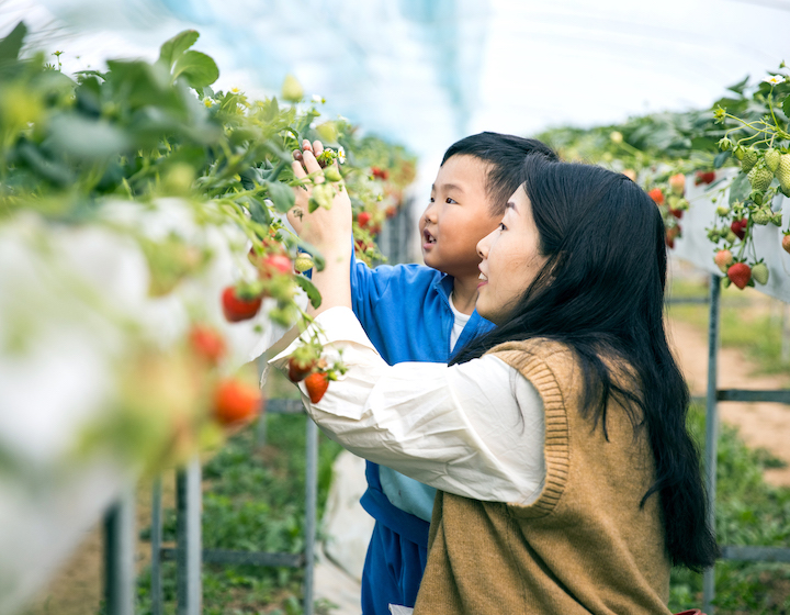 Hong Kong Organic Farms Things to know