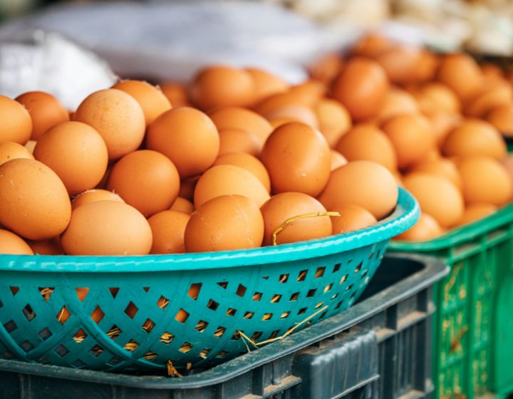 Best Wet Markets in hong Kong eggs