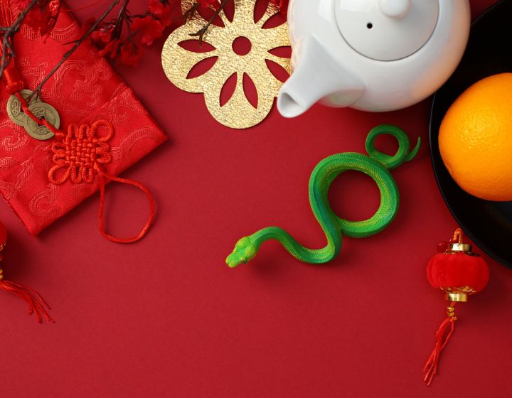 CNY decorations featuring red fan, green snake, lanterns and more!