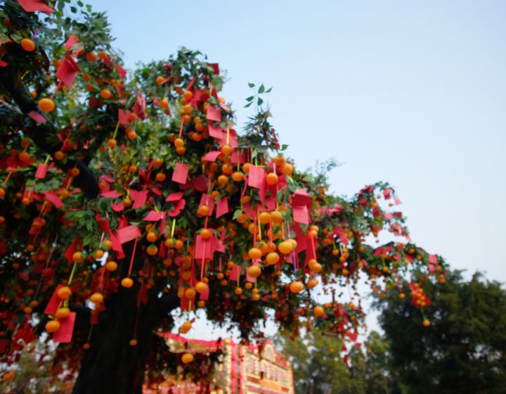 Chinese Wish festival